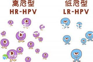 胎夢(mèng)解讀必備!孕婦夢(mèng)見(jiàn)鴿子所象征的含義介紹