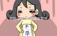 胚胎冷凍六年的成本取決于機構,解凍后是否可以移植