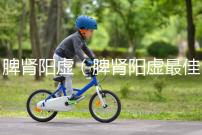 脾腎陽虛(脾腎陽虛最佳中成藥)