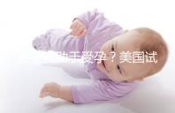 菠蘿有助于受孕？美國試管嬰兒移植后的5個冷知識都看看