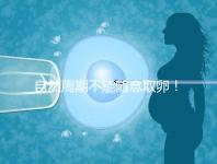 自然周期不能隨意取卵！滿足3點要求才能順利進行