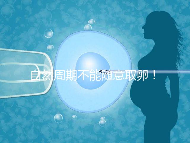 自然周期不能隨意取卵!滿足3點(diǎn)要求才能順利進(jìn)行