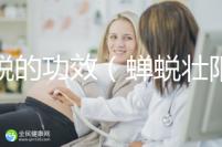 蟬蛻的功效(蟬蛻壯陽功效作用)