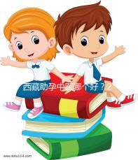 西藏助孕中醫哪個好?2024年新版專家排名