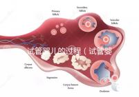 試管嬰兒的過程(試管嬰兒的過程步驟及時間)