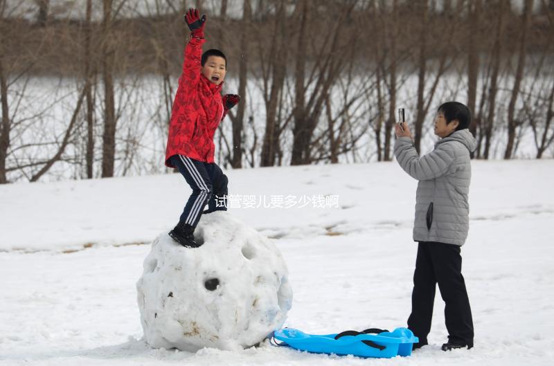 試管嬰兒要多少錢啊