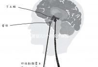 試管嬰兒5個月流產原因有三，多久能再次移植需慎重考慮