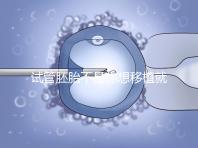 試管胚胎不是你想移植就可以移動的,需要滿足這些條件!
