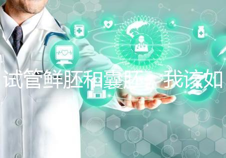 試管鮮胚和囊胚，我該如何選？