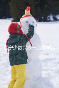 遼寧少數(shù)民族三胎政策最新消息來臨，沈陽、大連補助不一樣