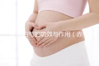 赤白芍的功效與作用(赤白芍的功效與作用的功能與主治)