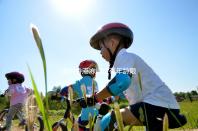 誰說香港凍卵沒有年齡限制，48歲能不能做？