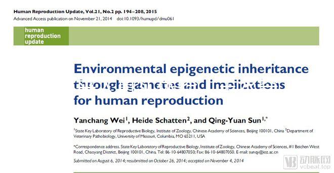 過來人真實體驗：羊水穿刺疼不疼，說說我做完的感覺
