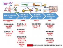 5bc囊胚移植后第六天測兩條杠要注意，第九天沒了不在少數(shù)