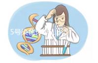 5號(hào)染色體q31.3微缺失綜合癥嚴(yán)重嗎？會(huì)怎么樣？