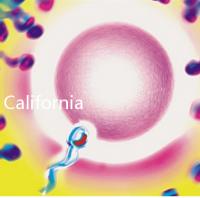 California Cryobank,加州精子銀行實用指南