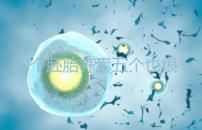 12個胚胎養(yǎng)囊五個也很正常，看完成功率就知所言非虛