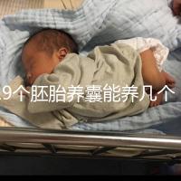 19個胚胎養囊能養幾個真難說,質量好都成功了也屬正常