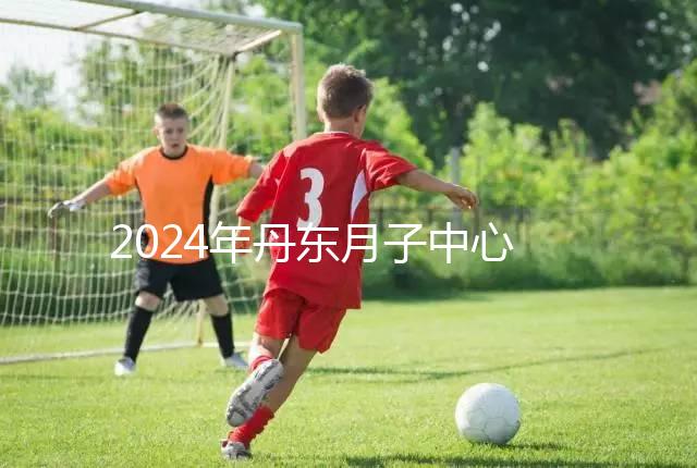 2024年丹東月子中心收費標(biāo)準(zhǔn),能否接生問題整理,想要制作的戳