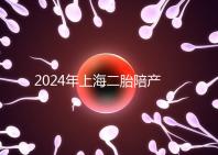 2024年上海二胎陪產假新規定,浦東10天或15天