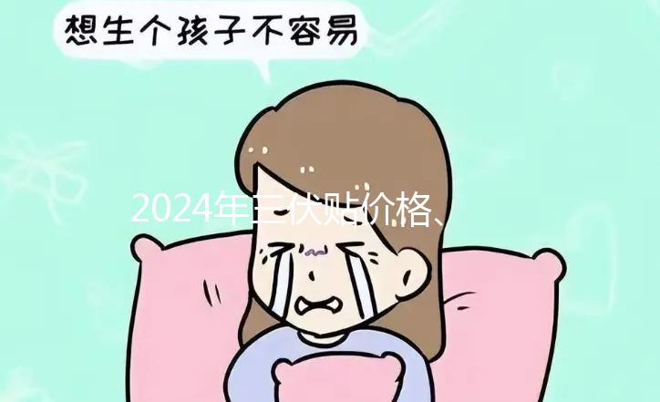 2024年三伏貼價格、品牌、單個療程費用大科普