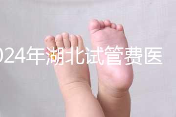 2024年湖北試管費醫療保險可以報銷？專家：時間還沒到？