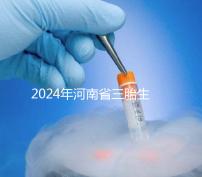 2024年河南省三胎生育津貼發(fā)生變化!南陽(yáng)和信陽(yáng)最高獎(jiǎng)勵(lì)20萬(wàn)!