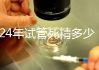 2024年試管死精多少錢？報(bào)銷政策和費(fèi)用都有