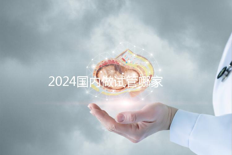 2024國內做試管哪家醫院成功率最高？附排行榜前十名醫院推薦