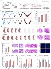 2024沈陽試管包成功醫院不可信，盛京醫院最高不超過70%