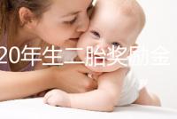 2020年生二胎獎勵金額揭秘,符合條件的媽媽可以領取了!