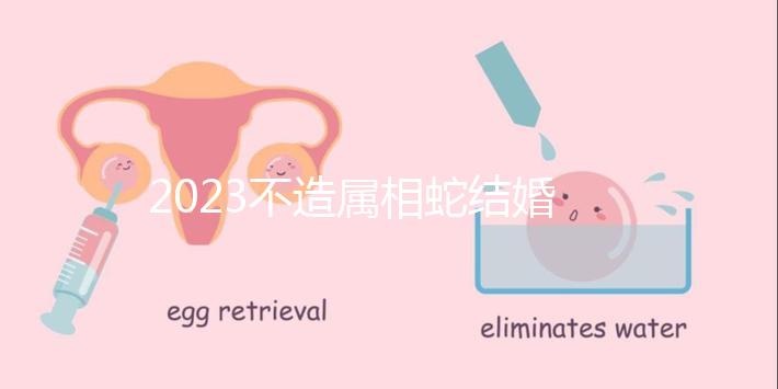 2023不造屬相蛇結婚跟什么相配？切記和屬豬易犯沖