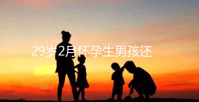 29歲2月懷孕生男孩還是女孩？清宮表2023帶你預(yù)測結(jié)果